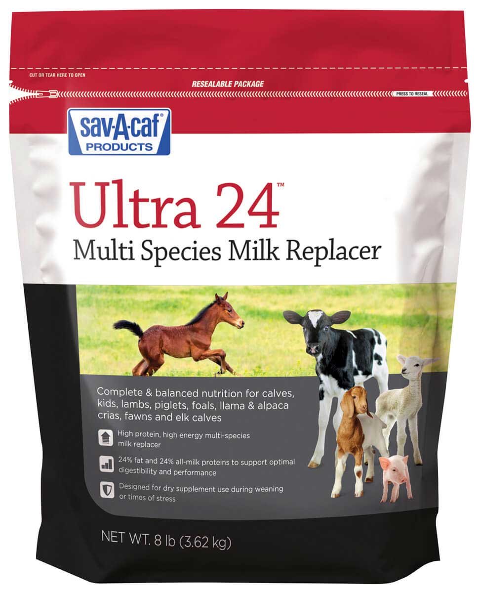 Sav-A-Caf Ultra 24 Multi Species Milk Replacer