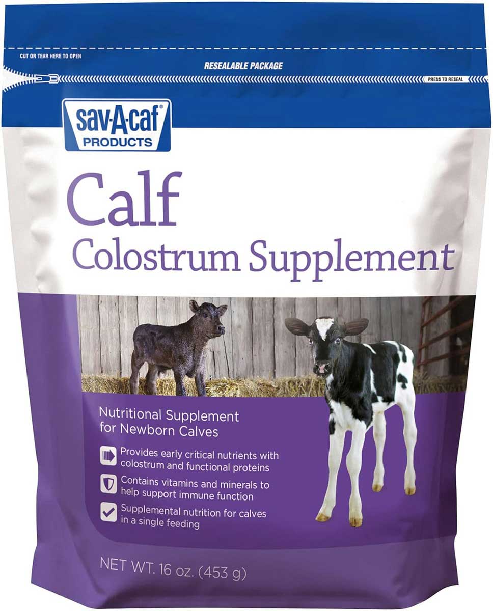 SAV-A-CAF Colostrum Supplement- 16oz