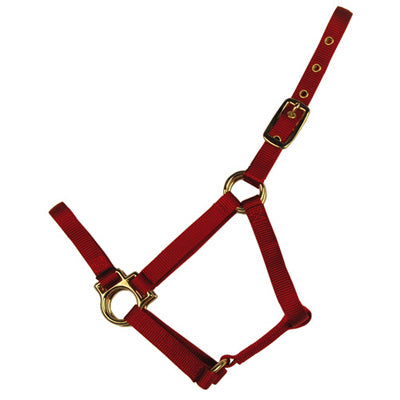 Econo Halter 2-30Q- Colt