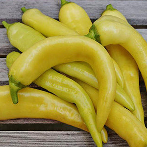 Pepper Seeds