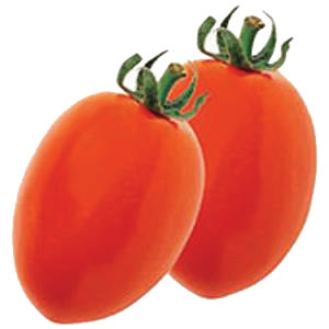 Tomato Seeds