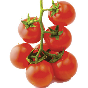 Tomato Seeds