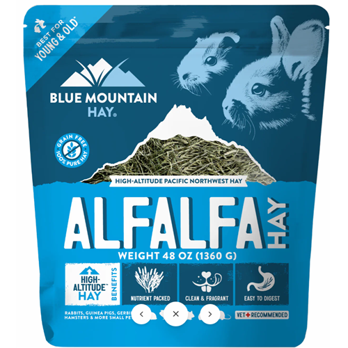 High Altitude Blue Mountain Hay