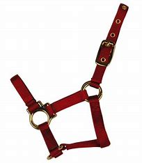 Econo Halter 11-15Q- Large Horse
