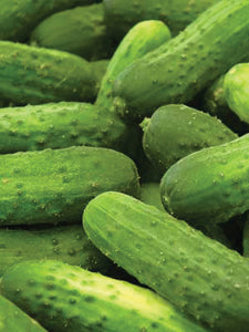 Cucumber Seeds