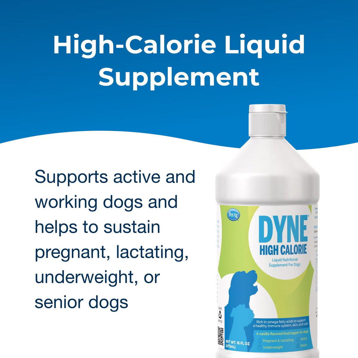 Dyne High Calorie Supplement for Dogs