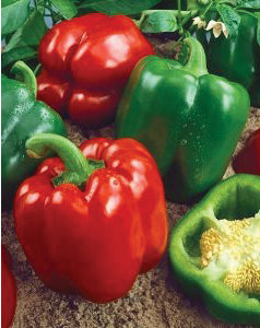 Pepper Seeds