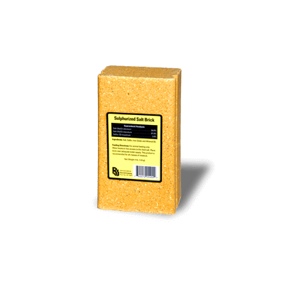 4Lbs Mineral Blocks