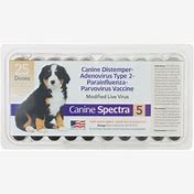 Canine Spectra 5 Vaccine