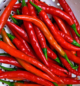 Pepper Seeds