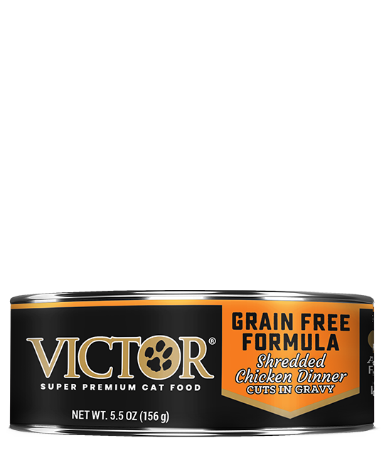 Victor Grain Free Shredded Chicken Dinner Cuts in Gravy- Cat Food 5.5oz