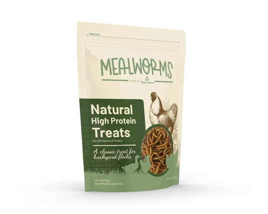 Zenithworks Mealworms