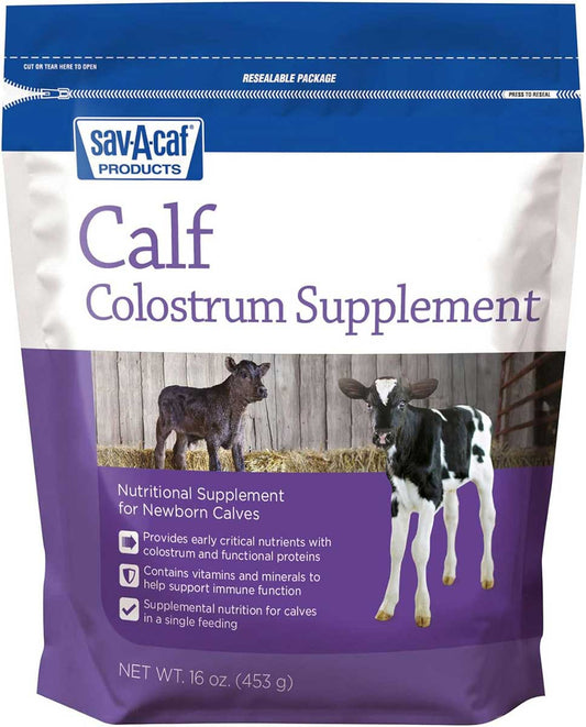 SAV-A-CAF Colostrum Supplement- 16oz