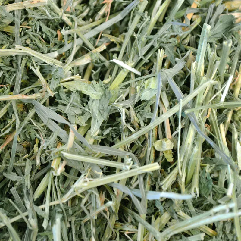 Oxbow Alfalfa
