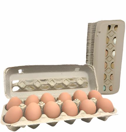 Paper Pulp Egg Carton