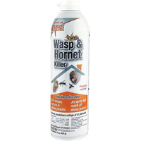 BND Revenge Wasp & Hornet Aerosol Spray
