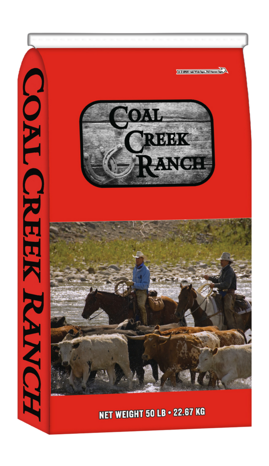 Coal Creek 10% Sweet Feed
