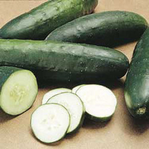 Cucumber Seeds