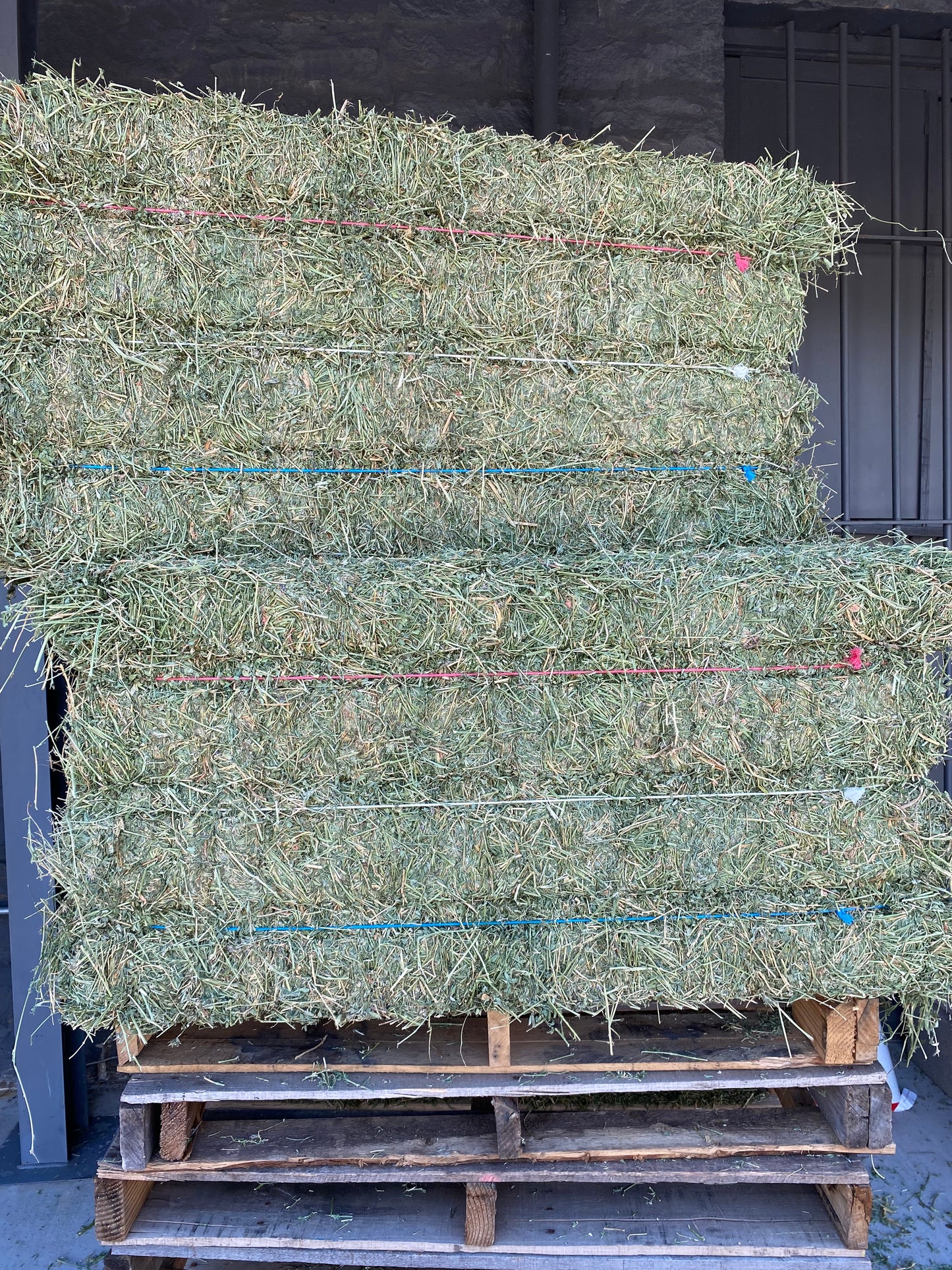 3 String Alfalfa Bales