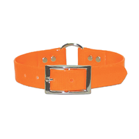 Dayglo Dog Collar- Orange