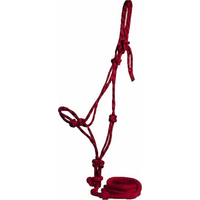 Mountain Rope halter w/ Lead