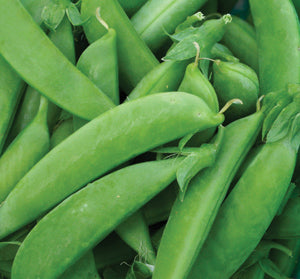 Sugar Snap Peas, Vining- 8oz