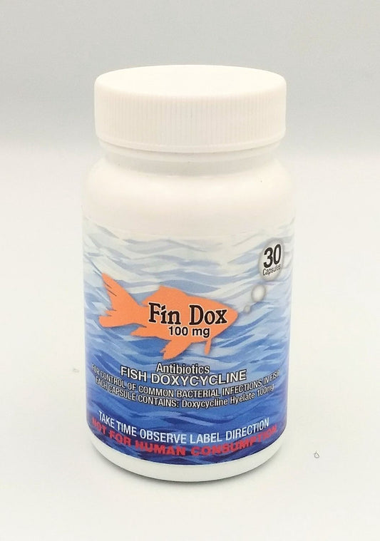 Fin Dox doxycycline 100 mg 30 count for ornamental fish