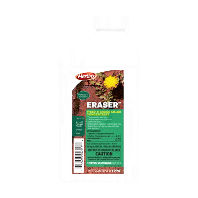 Eraser