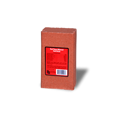 4Lbs Mineral Blocks