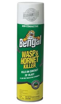 Non-Conductive Wasp & Hornet Killer